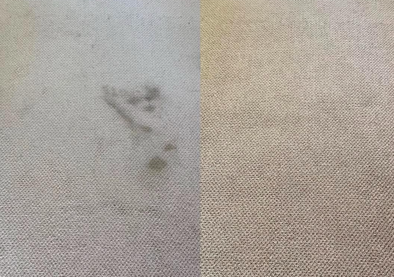 Carpet Cleaning Service